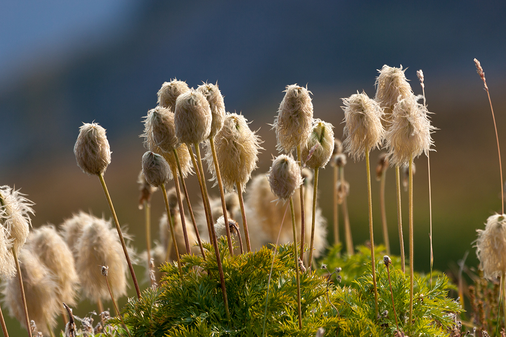 09-24 - 11.jpg - Mount Rainier National Park, WA